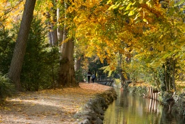 Rosarium im Dobelhoffpark