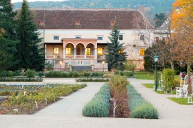 Rosarium im Dobelhoffpark