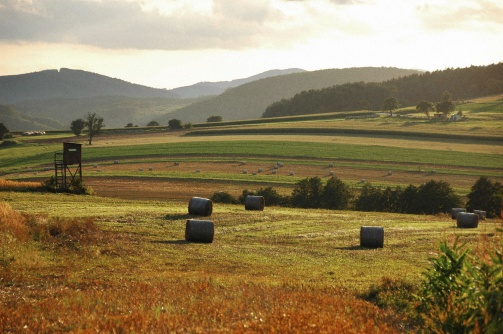 Hutweiden Wienerwald