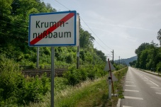 Krummnussbaum