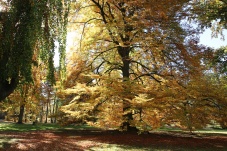 Gmünd Innenstadt & Stadtpark