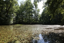 Gmünd Innenstadt & Stadtpark