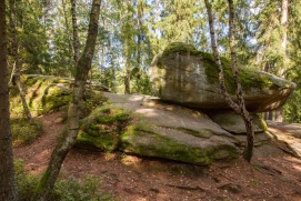 Heidenreichsteiner Moor