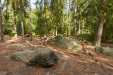 Heidenreichsteiner Moor