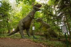 Themenpark Dinosaurierpark Erlebnispark