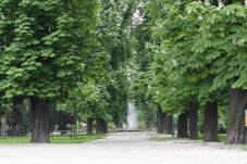 Musikpavillon & Stadtpark