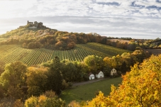 Burgruine Falkenstein