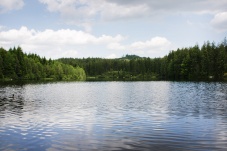 Schlesingerteich