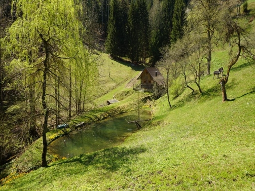 Mühlenhüttl am Waldsee