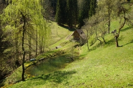 Mühlenhüttl am Waldsee