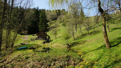 Mühlenhüttl am Waldsee