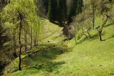 Mühlenhüttl am Waldsee