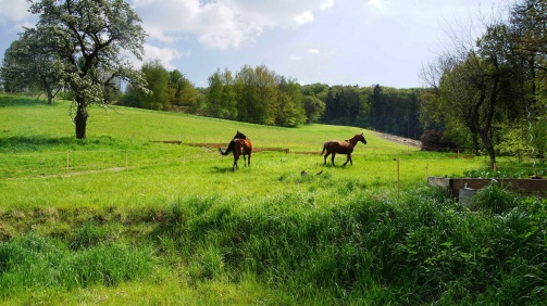 Chalet Notschkerl