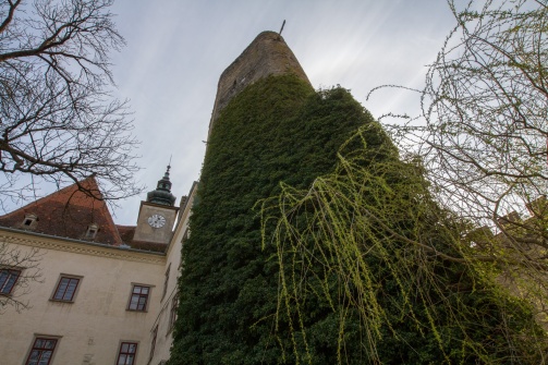 Burgschloss Raabs