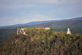 Ruine Starhemberg