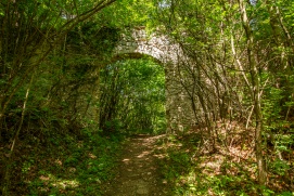 Ruine Starhemberg