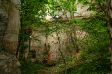 Ruine Starhemberg