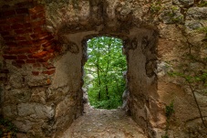 Ruine Starhemberg