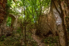 Ruine Starhemberg