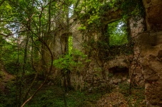 Ruine Starhemberg