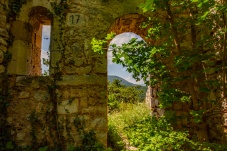 Ruine Starhemberg