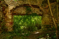 Ruine Starhemberg