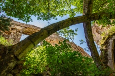 Ruine Starhemberg