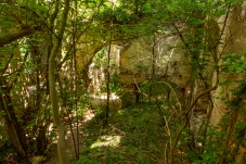 Ruine Starhemberg