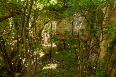 Ruine Starhemberg