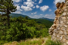 Ruine Starhemberg