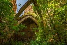 Ruine Starhemberg