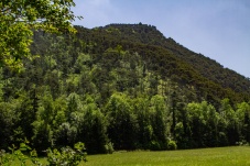 Ruine Starhemberg