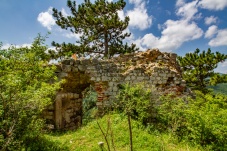 Ruine Starhemberg