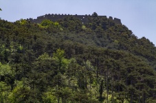 Ruine Starhemberg