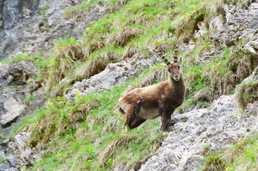 Gut Hohenlehen