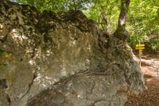 Ruine Johannstein Naturpark Sparbach