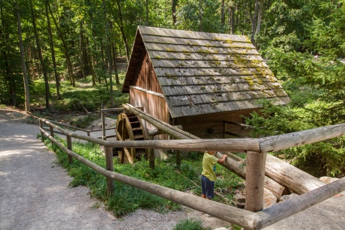 Lenauteich Naturpark Sparbach