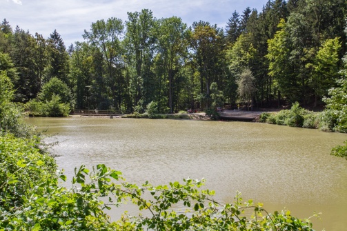 Lenauteich Naturpark Sparbach