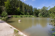 Lenauteich Naturpark Sparbach