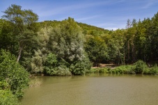 Lenauteich Naturpark Sparbach