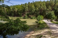 Lenauteich Naturpark Sparbach