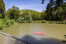 Lenauteich Naturpark Sparbach