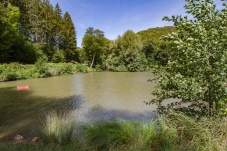 Lenauteich Naturpark Sparbach