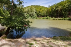 Lenauteich Naturpark Sparbach