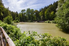 Lenauteich Naturpark Sparbach