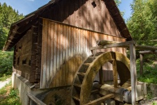 Lenauteich Naturpark Sparbach