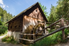 Lenauteich Naturpark Sparbach