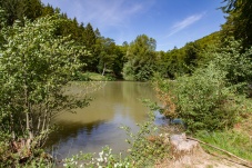 Lenauteich Naturpark Sparbach