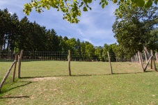 Freigehege - Tierbegegnungen Naturpark Sparbach