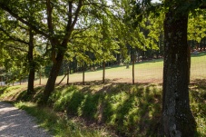 Freigehege - Tierbegegnungen Naturpark Sparbach